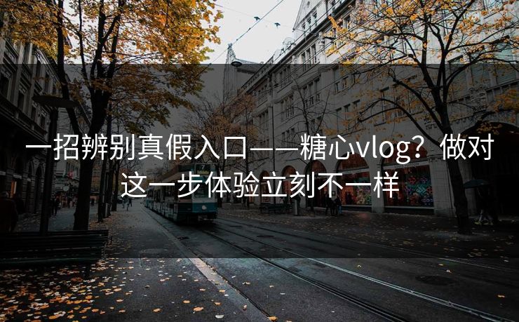 一招辨别真假入口——糖心vlog？做对这一步体验立刻不一样  第1张